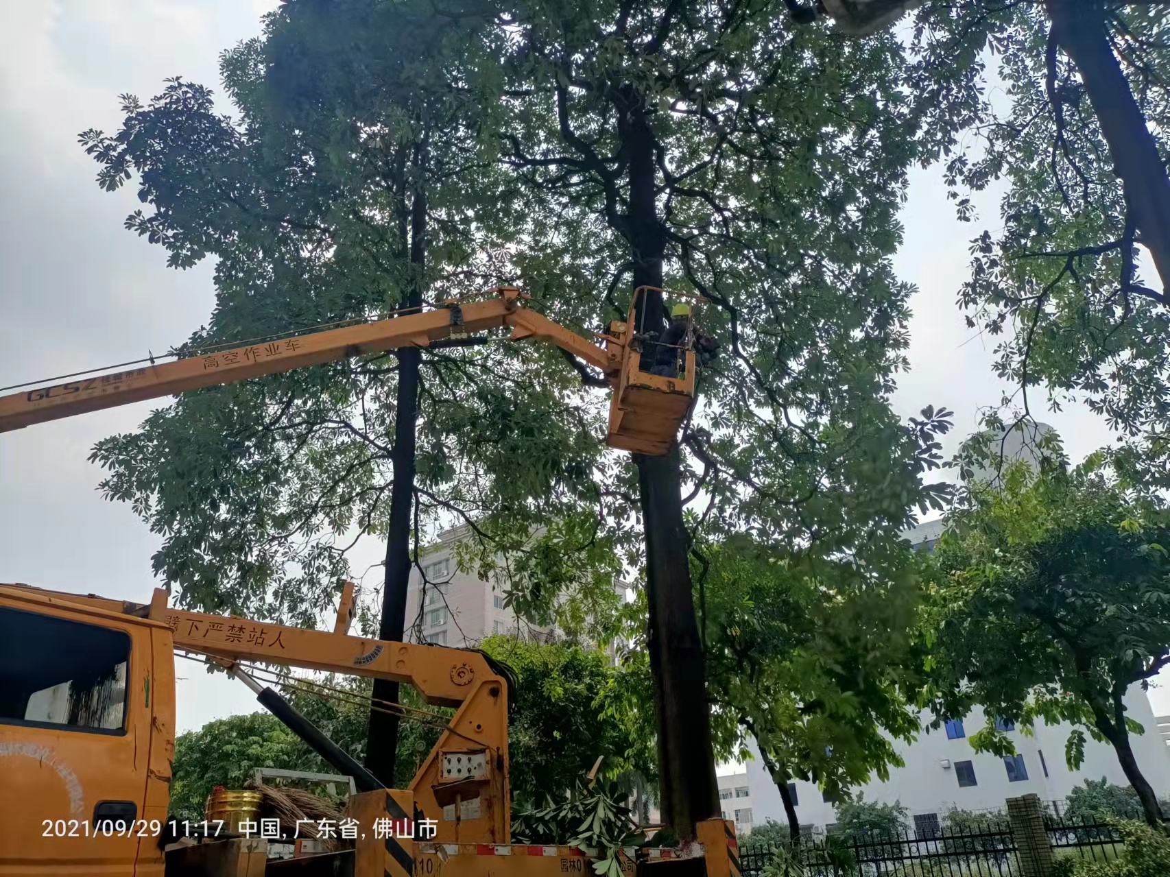 佛山園林綠化工程提升生活品質